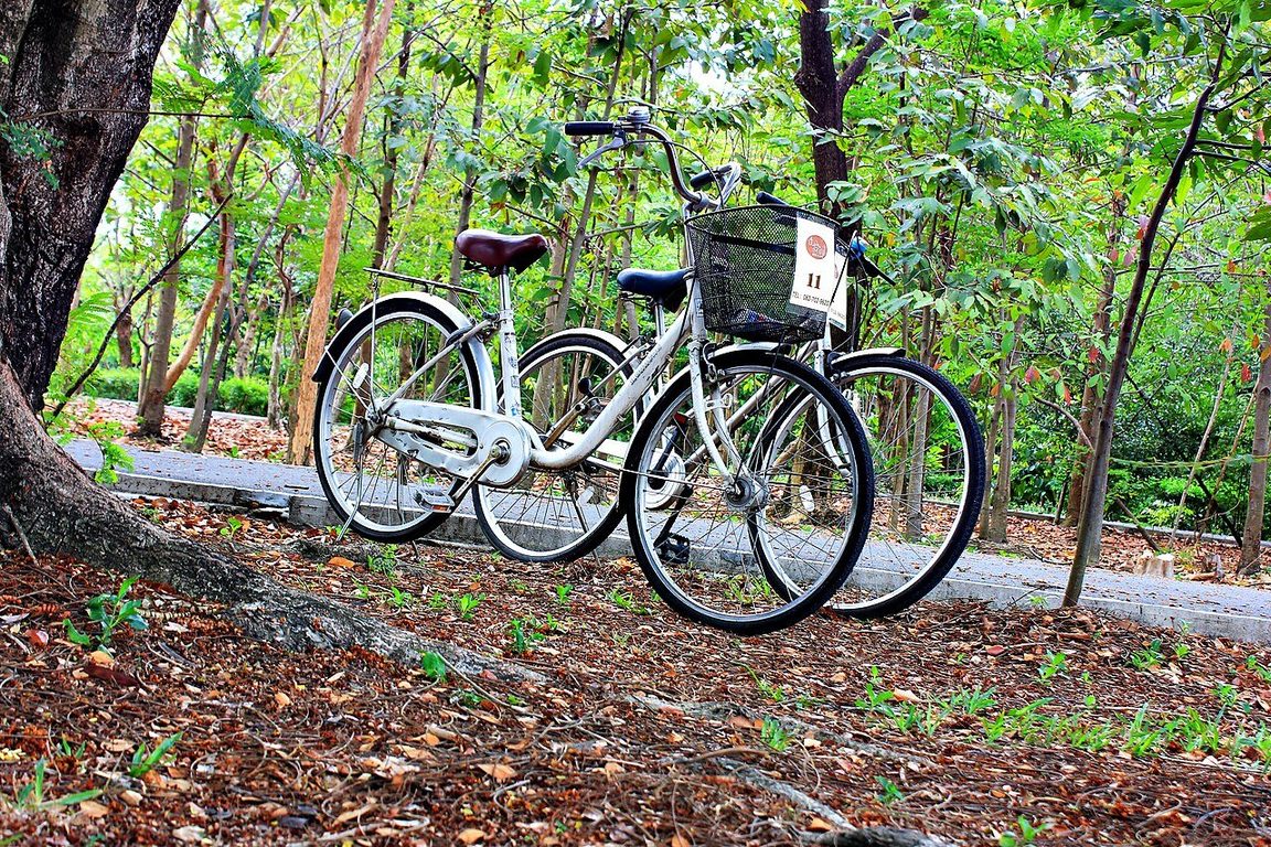 Thonburi by Bike — Backlanes, Riverside Temples & the Chao Phraya